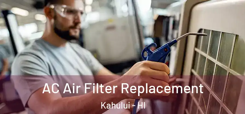 AC Air Filter Replacement Kahului - HI