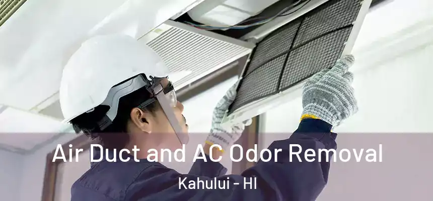 Air Duct and AC Odor Removal Kahului - HI
