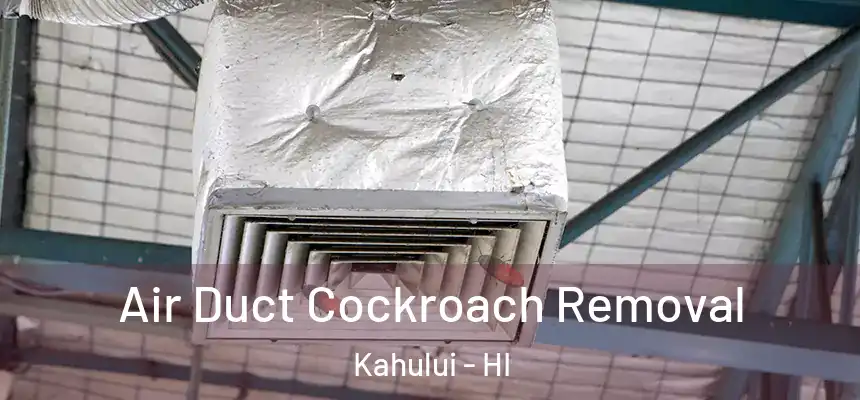 Air Duct Cockroach Removal Kahului - HI