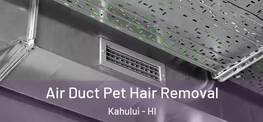 Air Duct Pet Hair Removal Kahului - HI