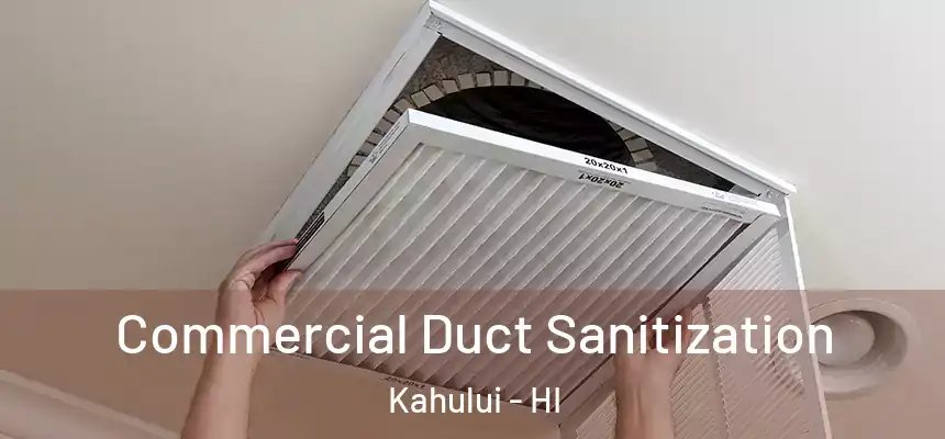 Commercial Duct Sanitization Kahului - HI