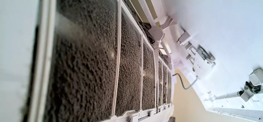 Preventive Air Duct Bacteria Removal in Kahului