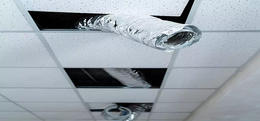 Affordable HVAC Sanitizing After Pest Removal in Kahului