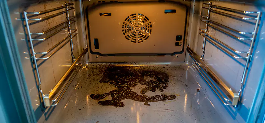 Our Dryer Vent Mold Cleaning Services in Kahului, HI