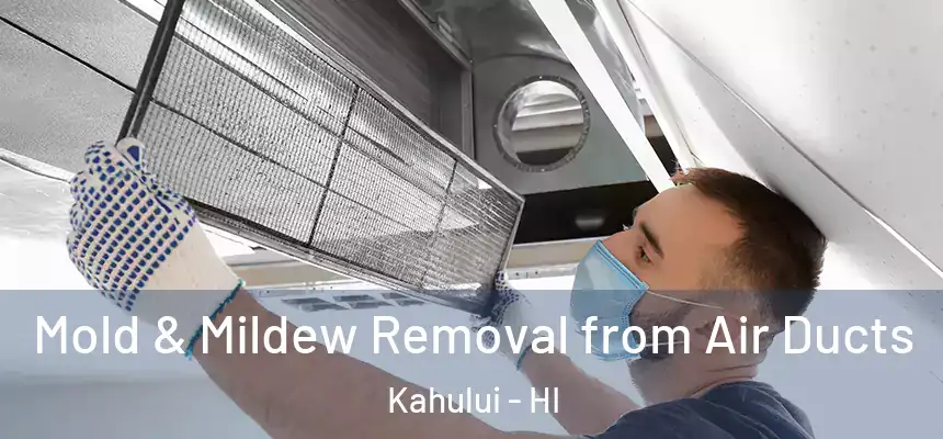 Mold & Mildew Removal from Air Ducts Kahului - HI