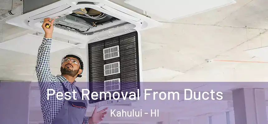  Pest Removal From Ducts Kahului - HI