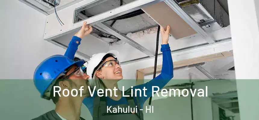 Roof Vent Lint Removal Kahului - HI
