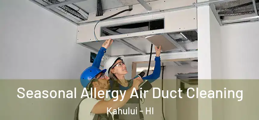  Seasonal Allergy Air Duct Cleaning Kahului - HI