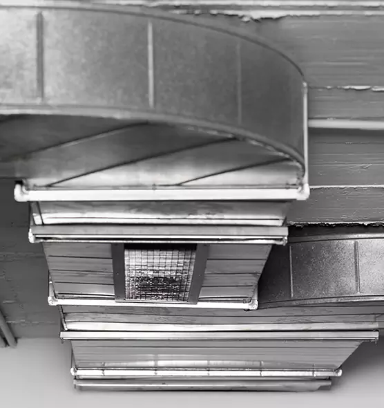 Professional Air Duct Pet Hair Removal in Kahului, HI