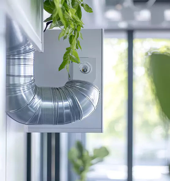 Professional Eco-Safe Dryer Vent Cleaning in Kahului, HI