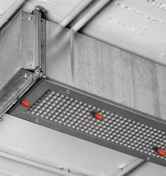 Affordable Insect Removal from Air Ducts in Kahului, HI