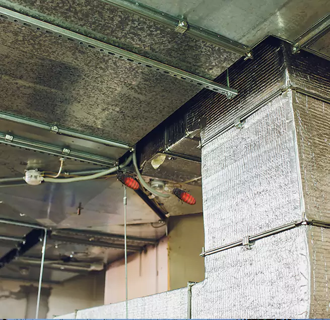 Why Homeowners & Businesses Trust Us in Kahului, HI?