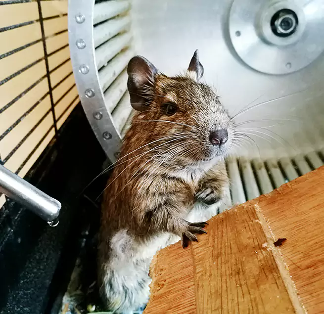 Why Homeowners & Businesses Trust Us Kahului, HI