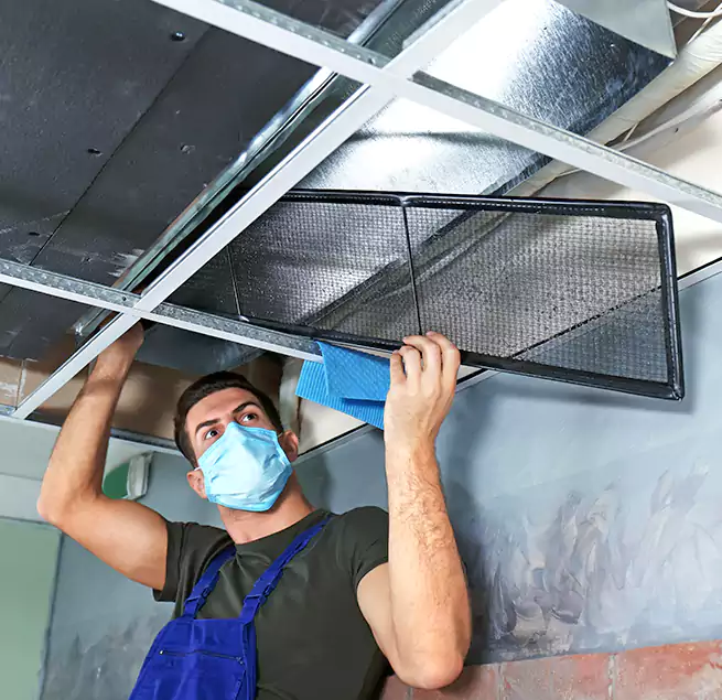 Why Homeowners Businesses Trust Us in Kahului, HI