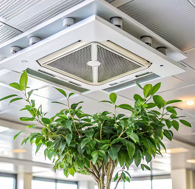 Why Homeowners & Businesses Trust Us in Kahului, HI