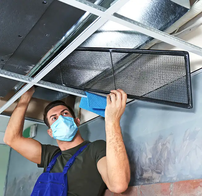 Why Homeowners & Businesses Trust Us in Kahului, HI?